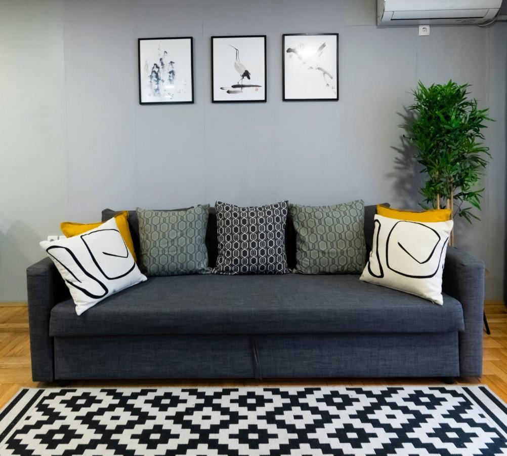 Central Fenix Apartment - Free Private Parking-Fast Wi-Fi نوفي ساد المظهر الخارجي الصورة
