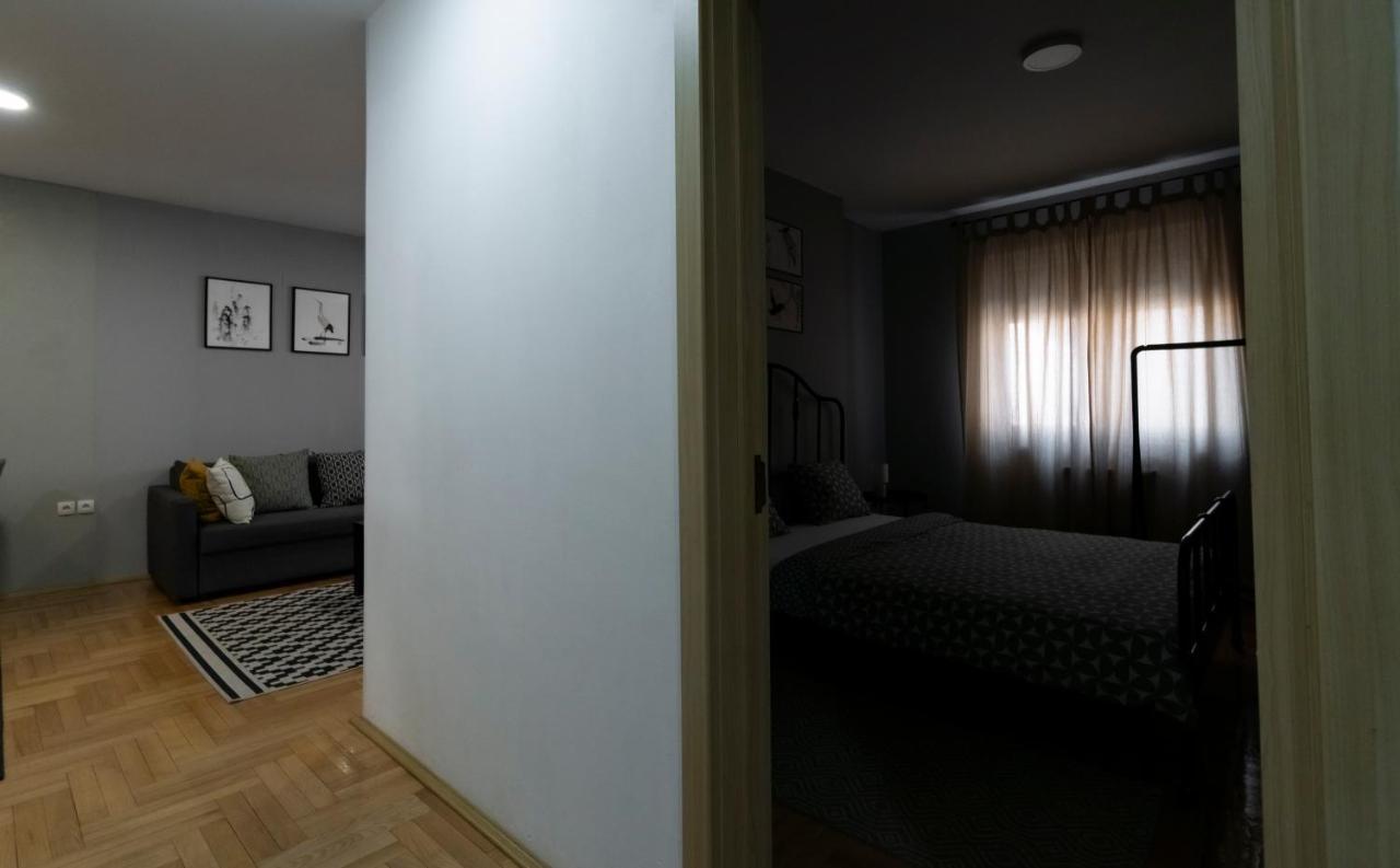 Central Fenix Apartment - Free Private Parking-Fast Wi-Fi نوفي ساد المظهر الخارجي الصورة